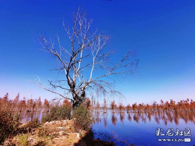 预售被抢购、非官方渠道溢价数万元 苹果首款头显能否成为市场宠儿?